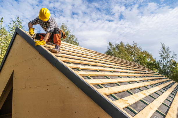 Best Sealant for Roof  in Nd Lake, WI